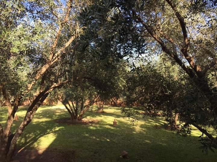 Riad Sidi Hicham Ouled Bouzid Buitenkant foto